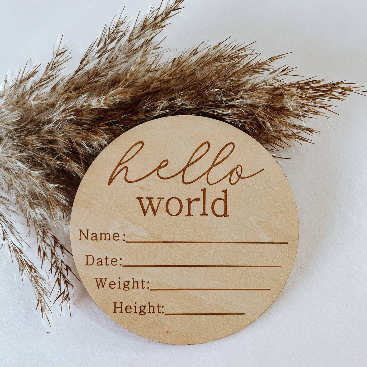 Hello World Birth Announcement Disc Sign