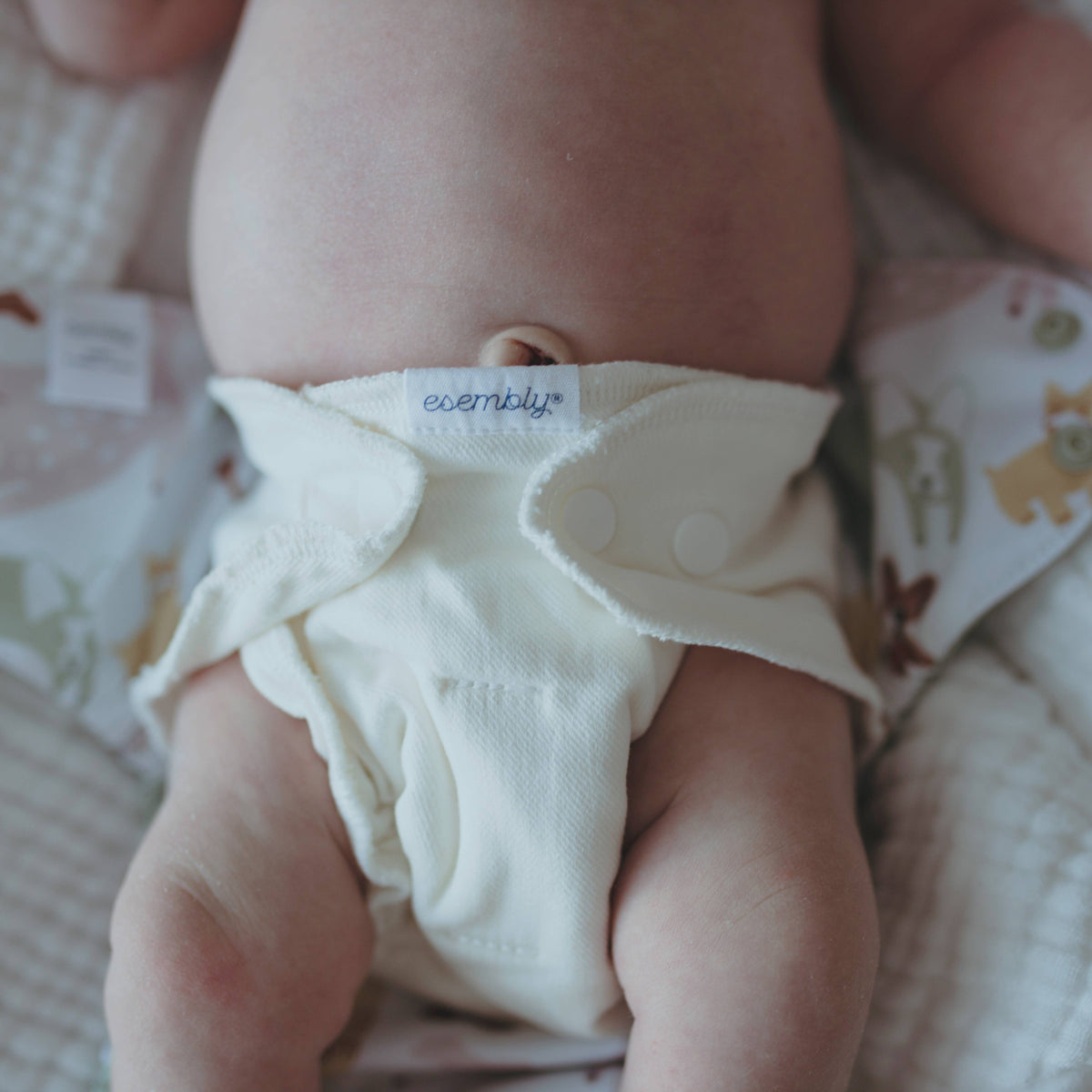 Cloth Diaper Inner - 3 pack