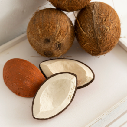 Coco the Coconut Natural Rubber Teether - Baby Dill