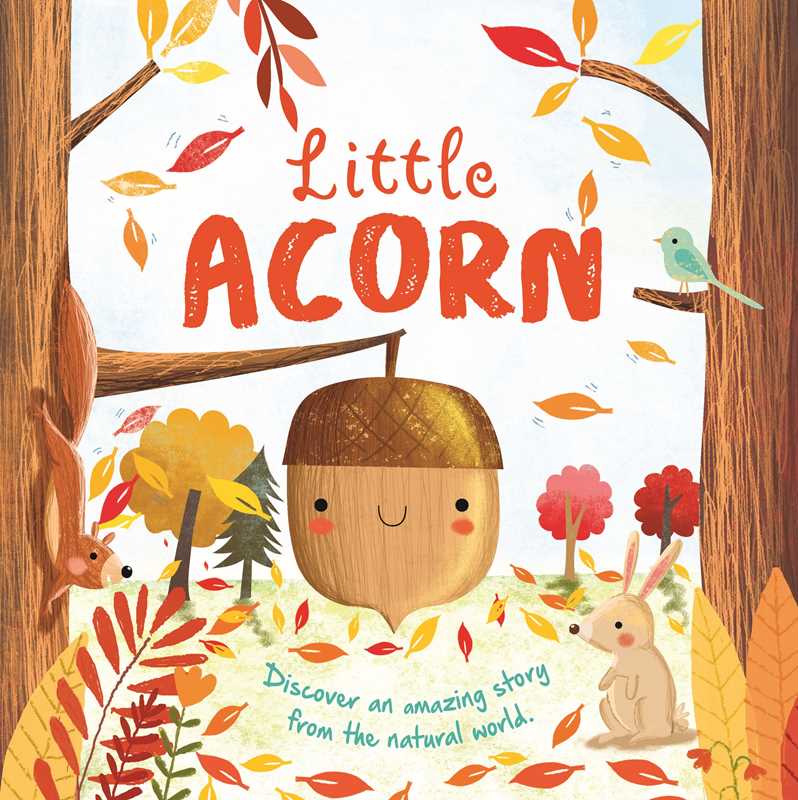 Nature Stories: Little Acorn-Discover an Amazing Story from the Natural World Board Book