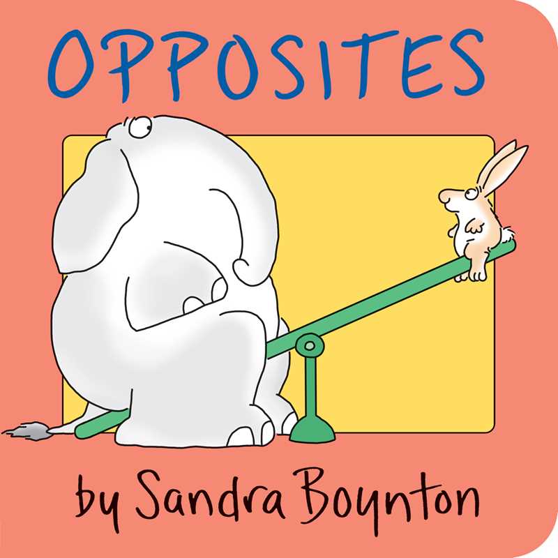 Opposites Board Book - Baby Dill