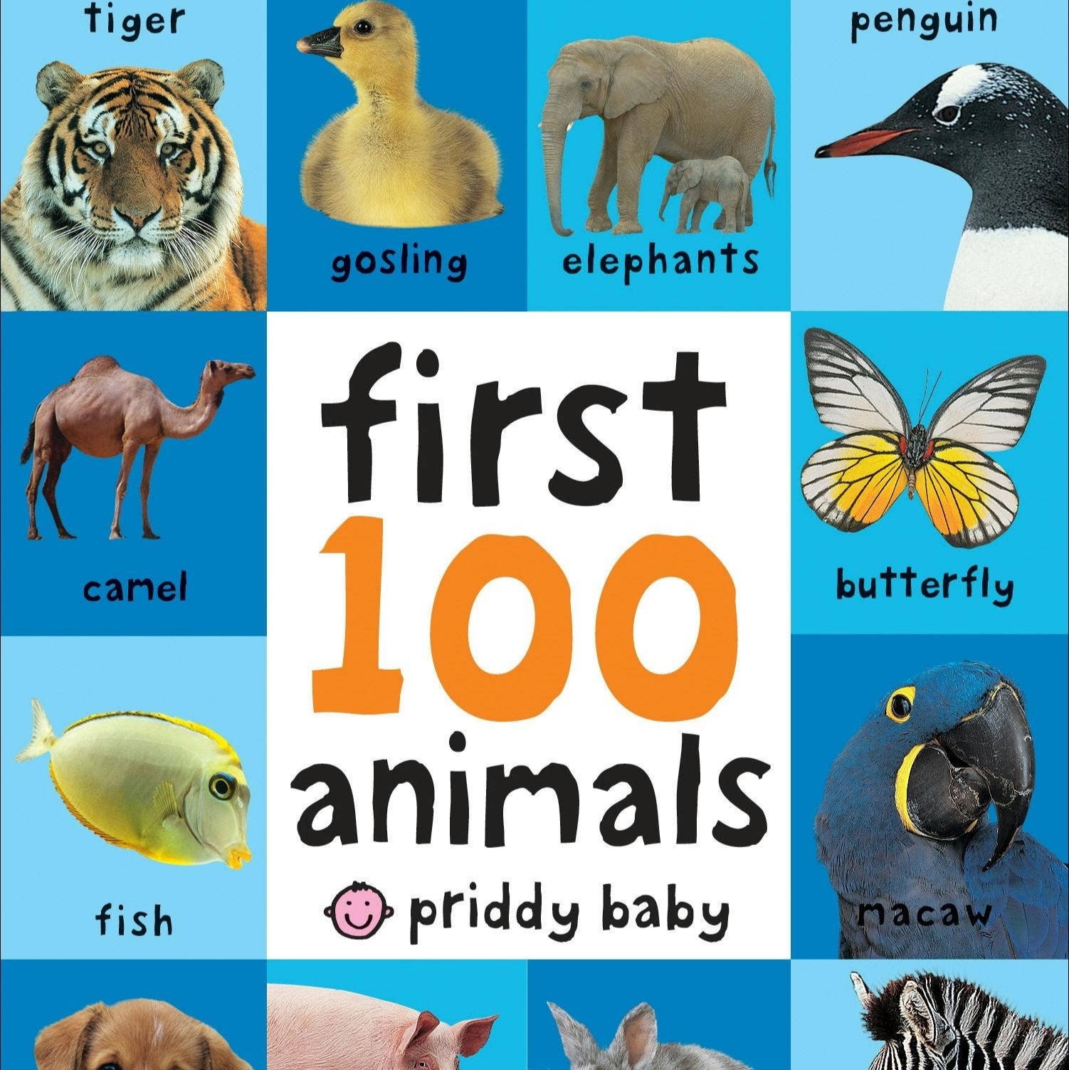 First 100 Animals Padded Board Book - Baby Dill