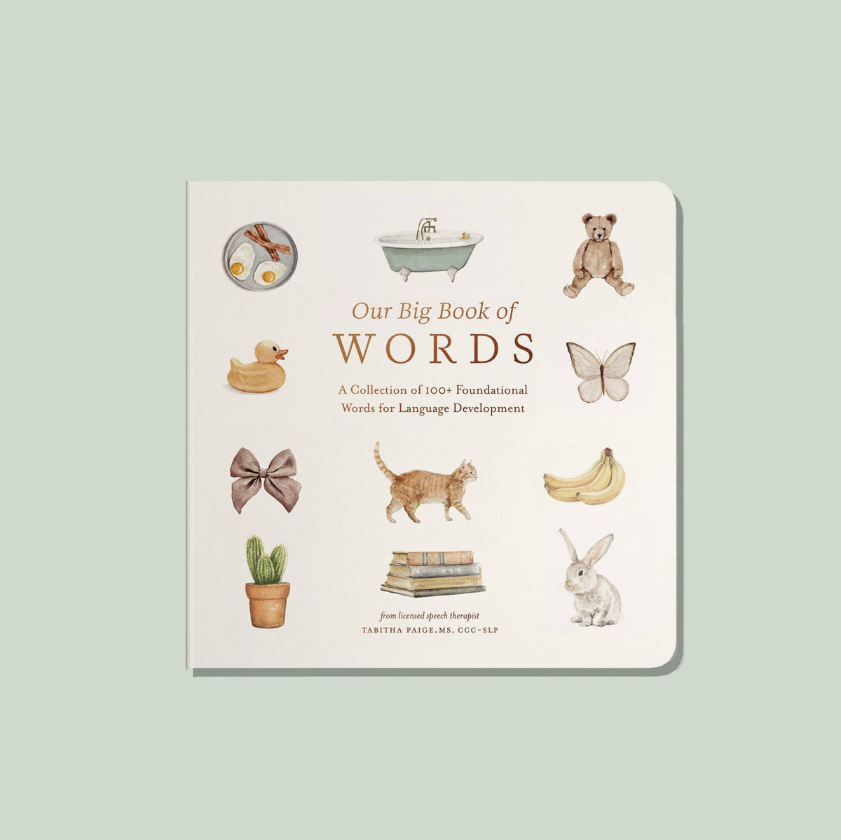 Our Big Boardbook of First Words - Baby Dill