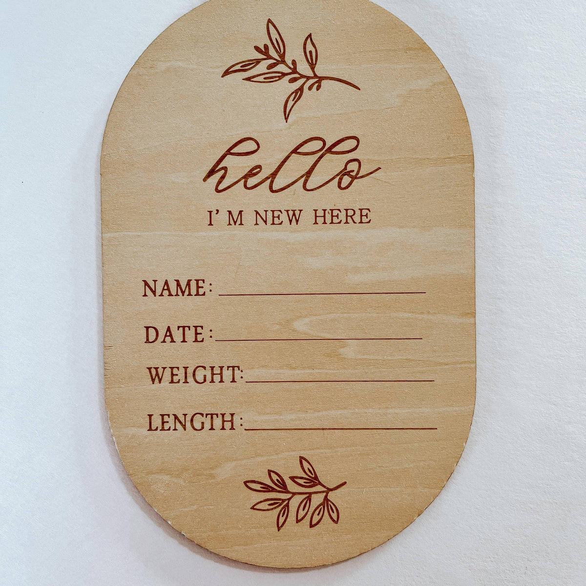 Hello I’m New Here Birth Announcement Disc Sign