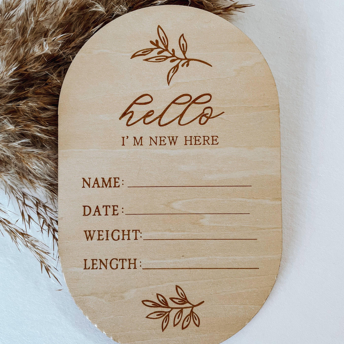 Hello I’m New Here Birth Announcement Disc Sign
