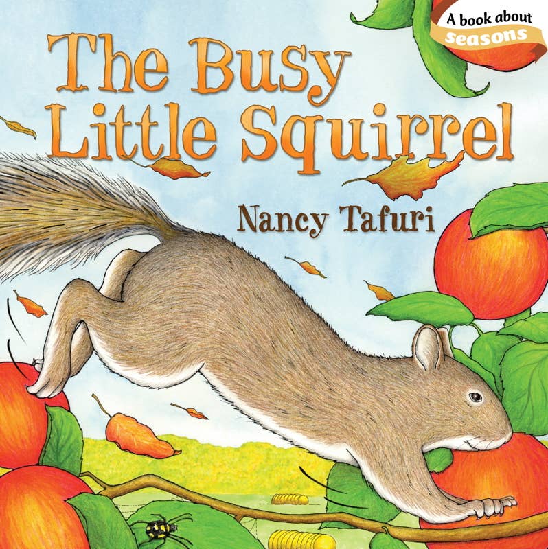 Busy Little Squirrel Board Book