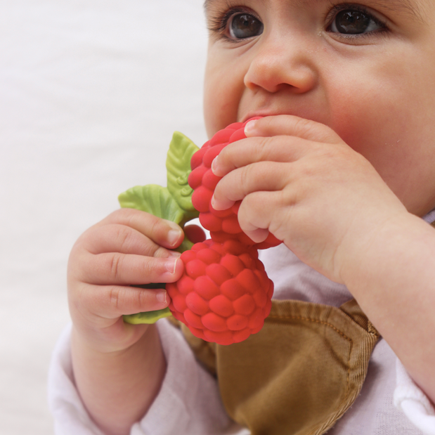 Valery the Raspberry Organic Teether