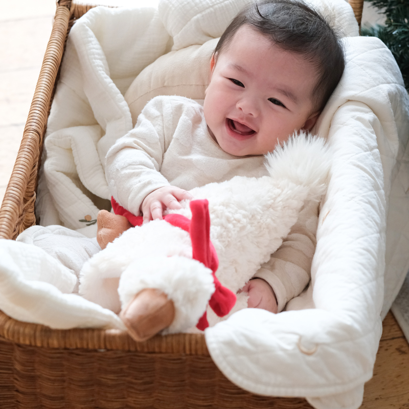 Little Lamb Kind - PIPPA the Goose // Cuddle & plushie toy - Baby Dill