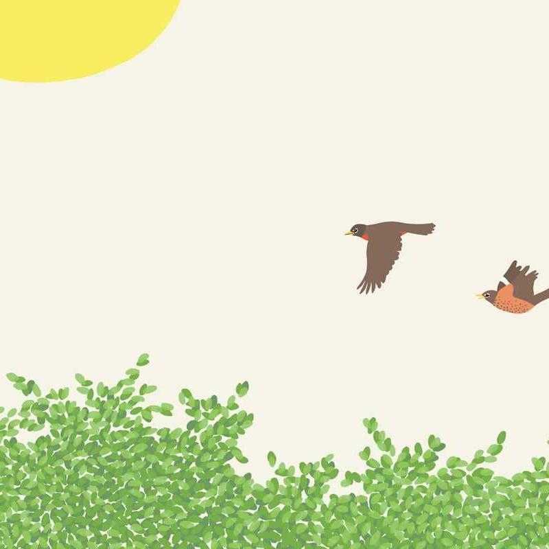 Nest Board Book