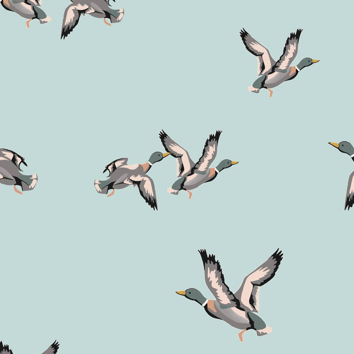 Baby Sleep Sack - 100% Organic Cotton - Mallard Ducks - Baby Dill