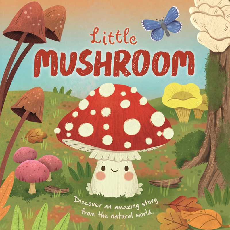 Nature Stories: Little Mushroom-Discover an Amazing Story from the Natural World Board Book
