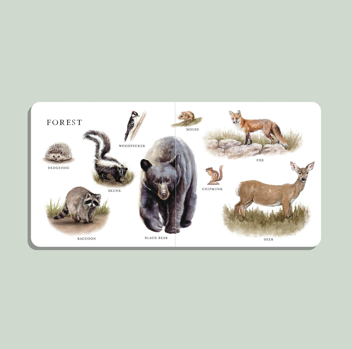 Paige Tate & Co. - Our Big Book of Animals (Baby Board Book) - Baby Dill