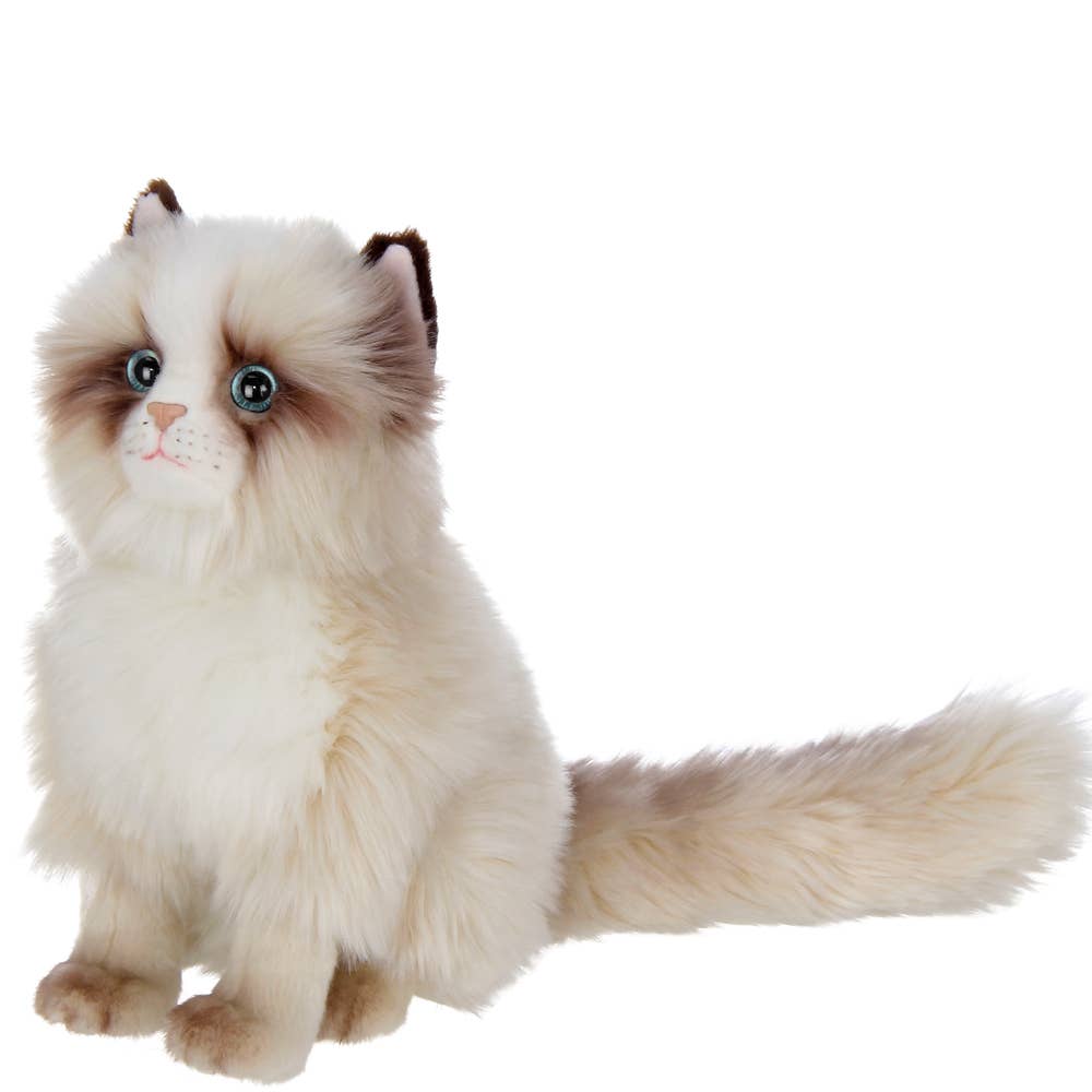 Tasha the Himalayan Plush