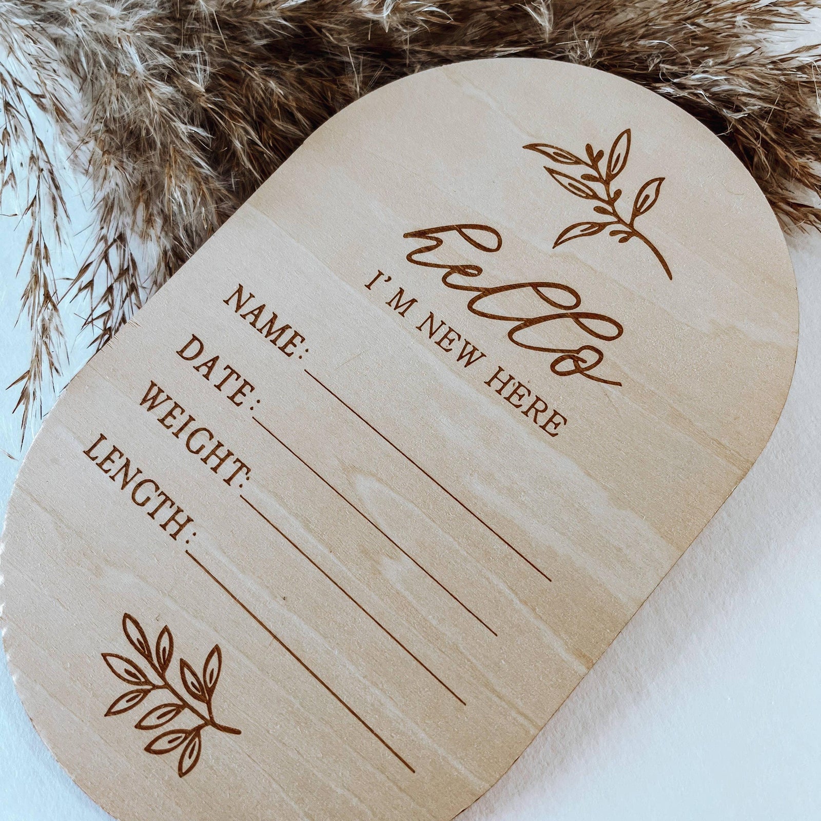 Hello I’m New Here Birth Announcement Disc Sign - Baby Dill