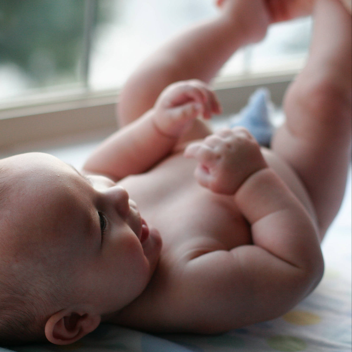 Beba Bean - PEE-PEE TEEPEE - ELEPHANT CELLO - Baby Dill