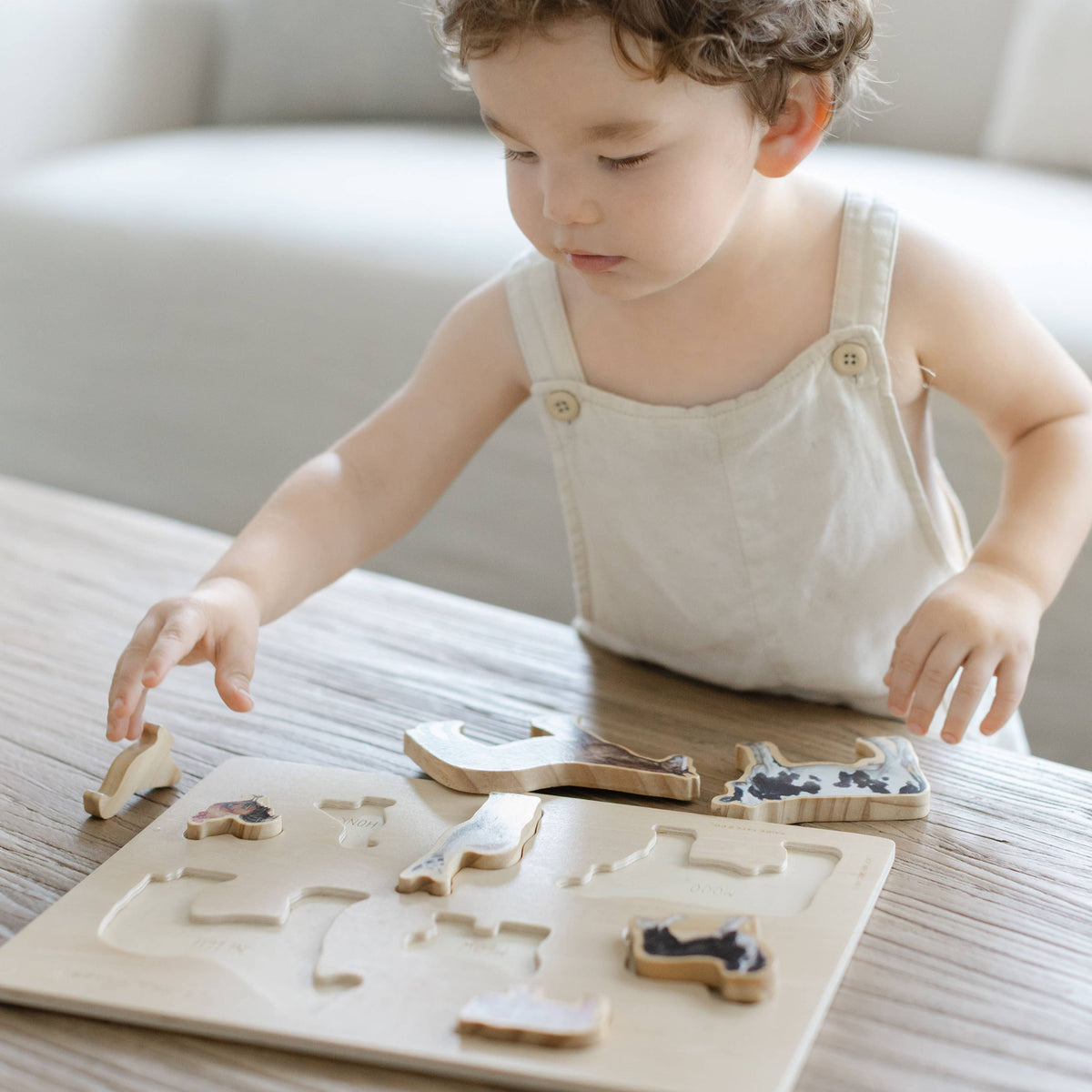 Farm Animals Wooden Puzzle: A Tabitha Paige Puzzle