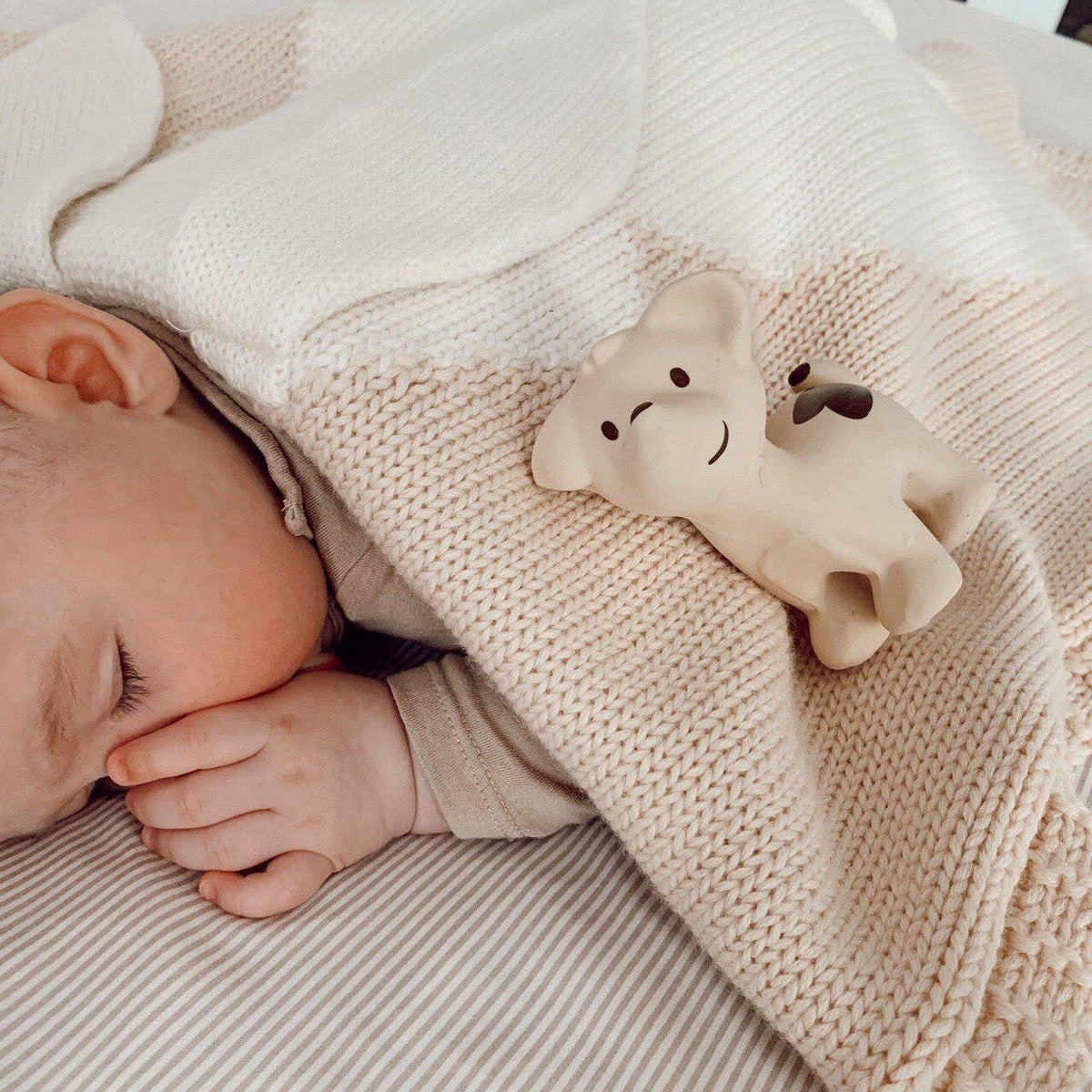 Puppy Natural Organic Rubber Teether, Rattle &amp; Bath Toy