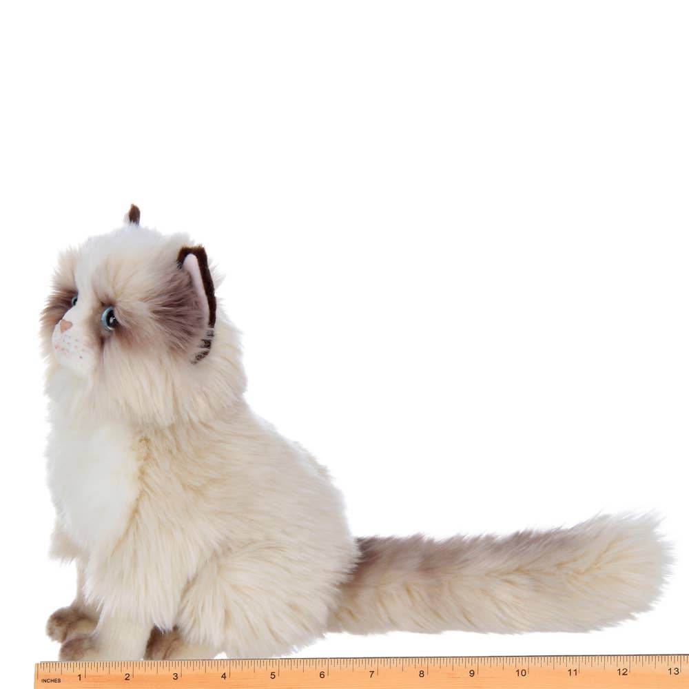 Tasha the Himalayan Plush