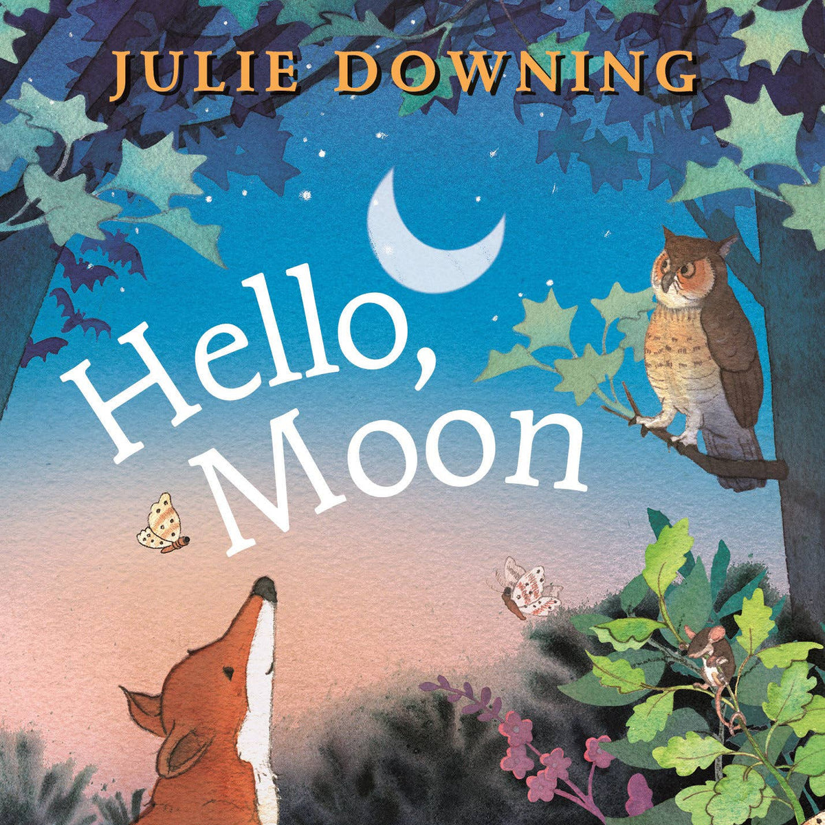 HELLO, MOON Board Book