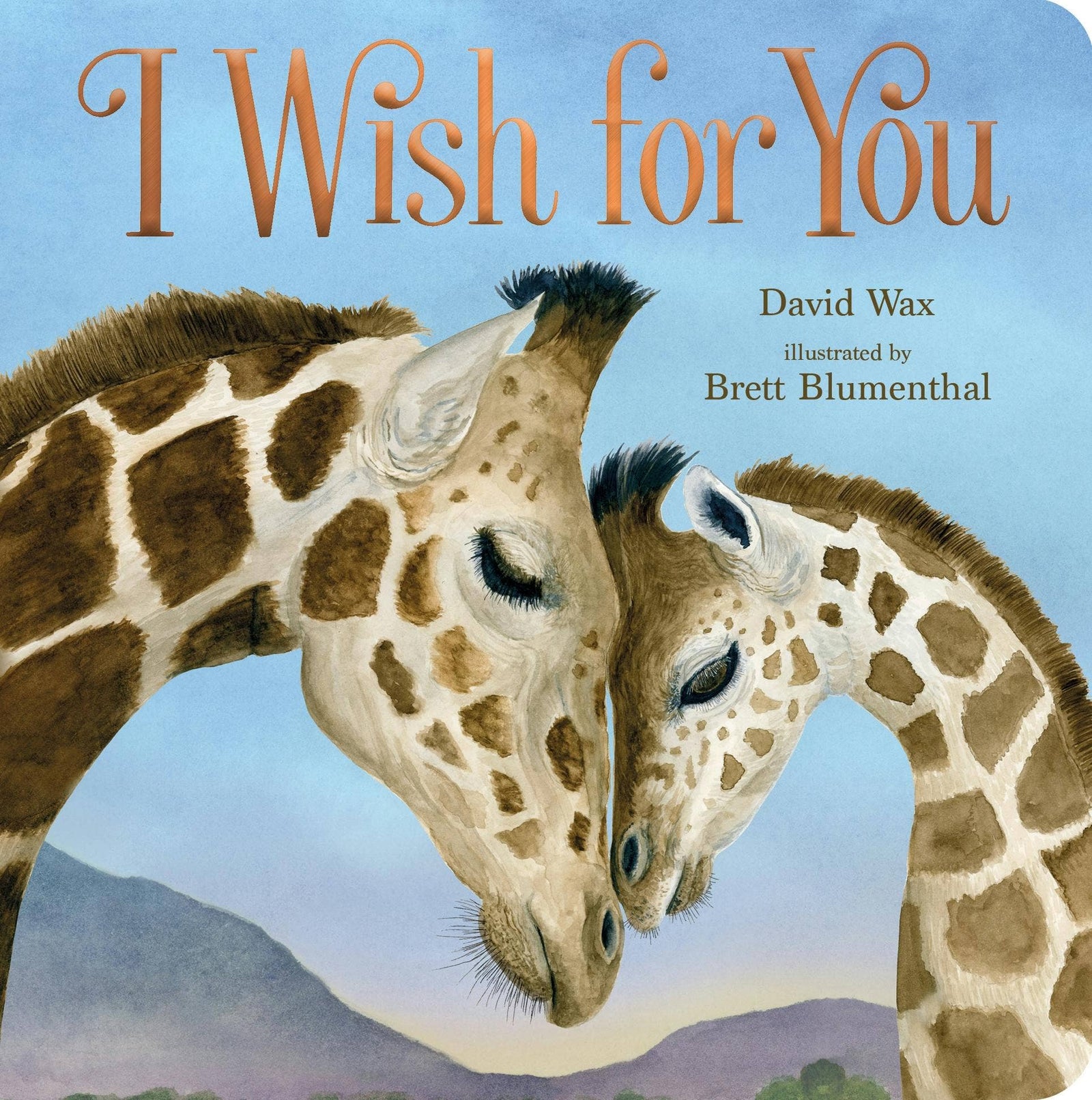Macmillan Publishers - I Wish For You - Baby Dill
