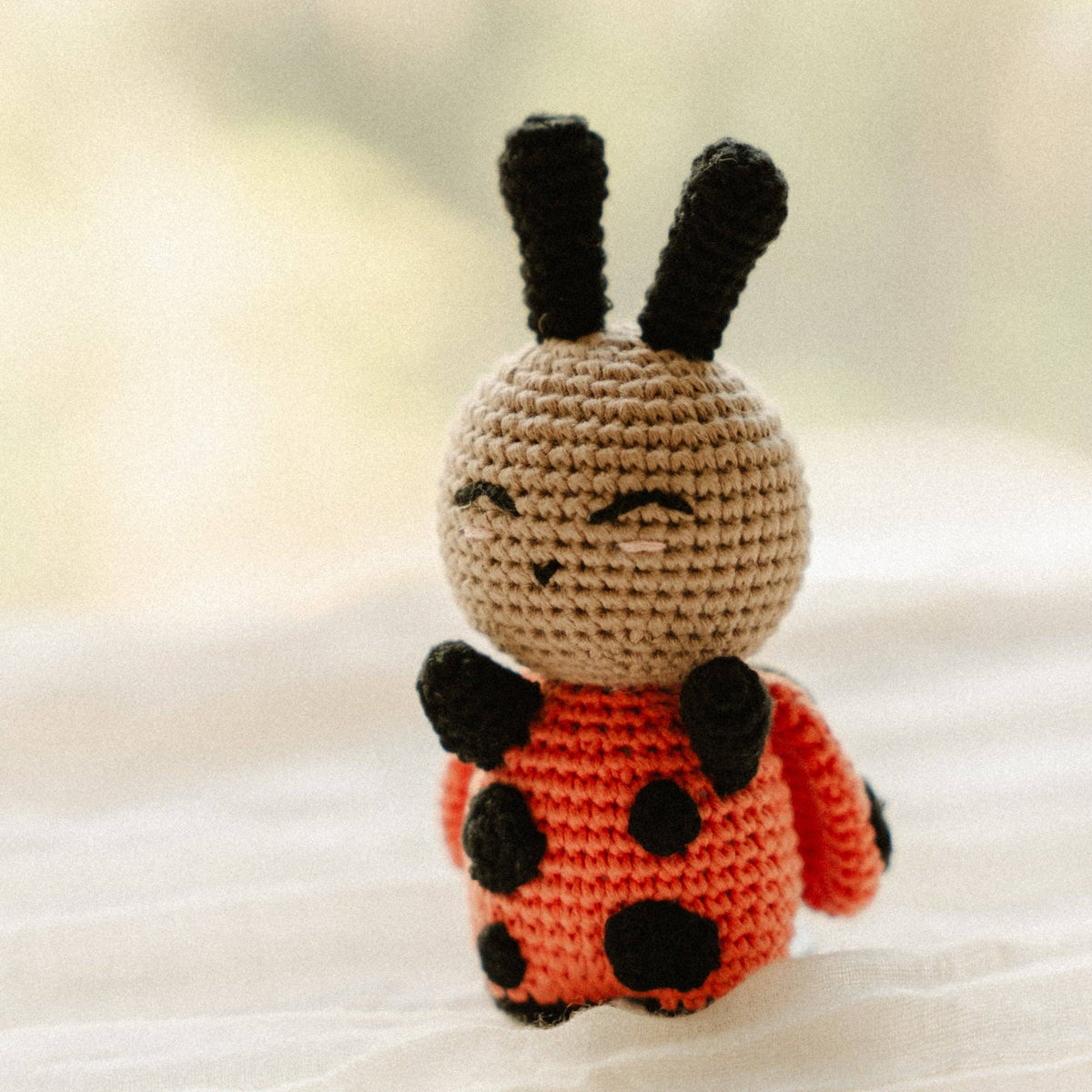 Suzie the Snuggle Buggle Crochet Rattle