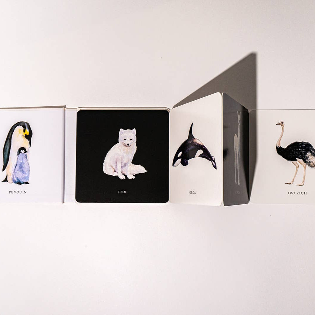 Black &amp; White Contrast Book for Baby - Baby Dill
