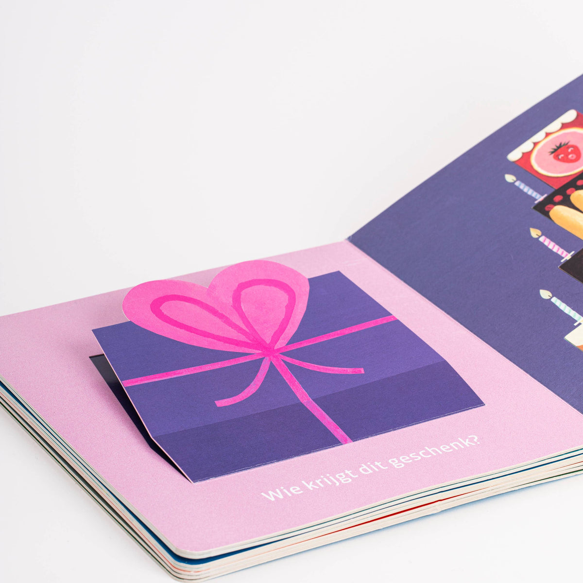 Where Is Everyone? Board Book - Baby Dill