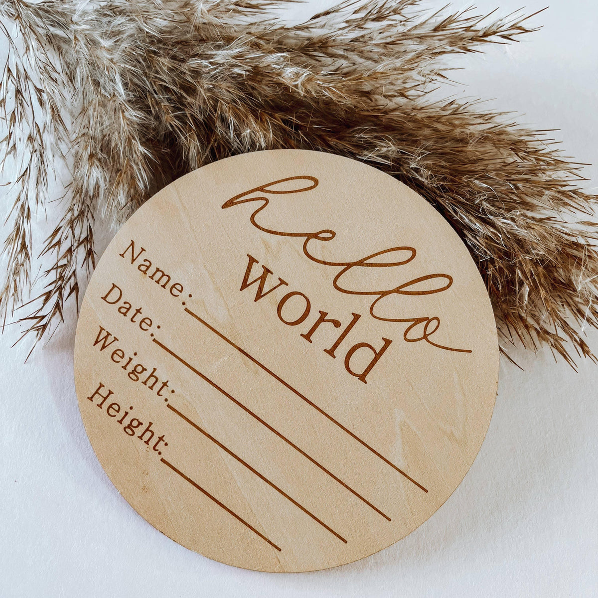 Hello World Birth Announcement Disc Sign