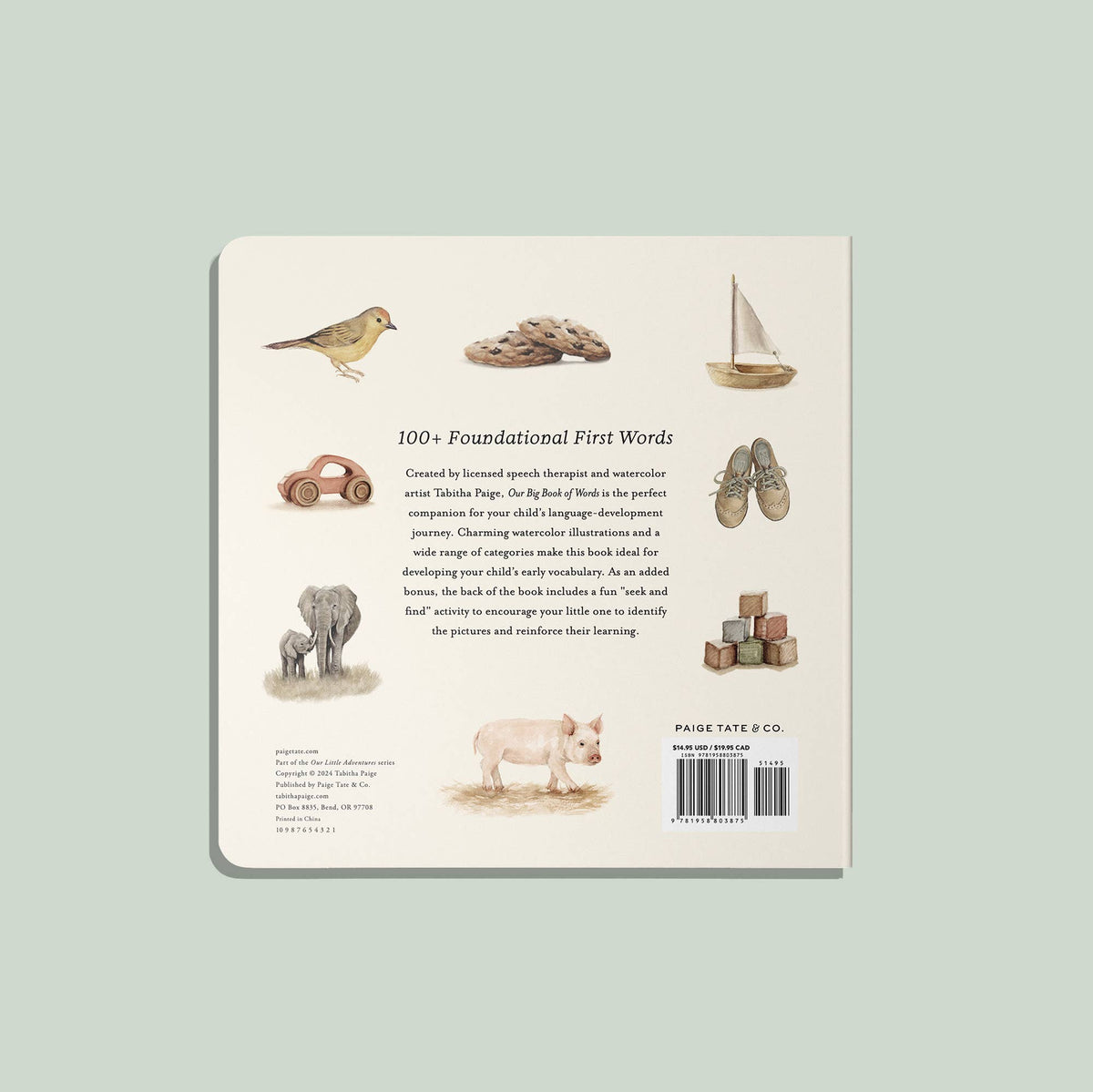 Our Big Boardbook of First Words - Baby Dill