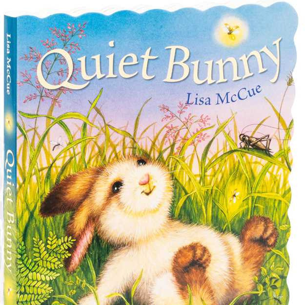 Quiet Bunny Board Book - Baby Dill
