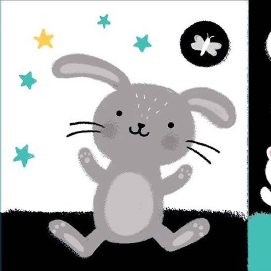 Baby's Black & White Books: Bedtime - Baby Dill