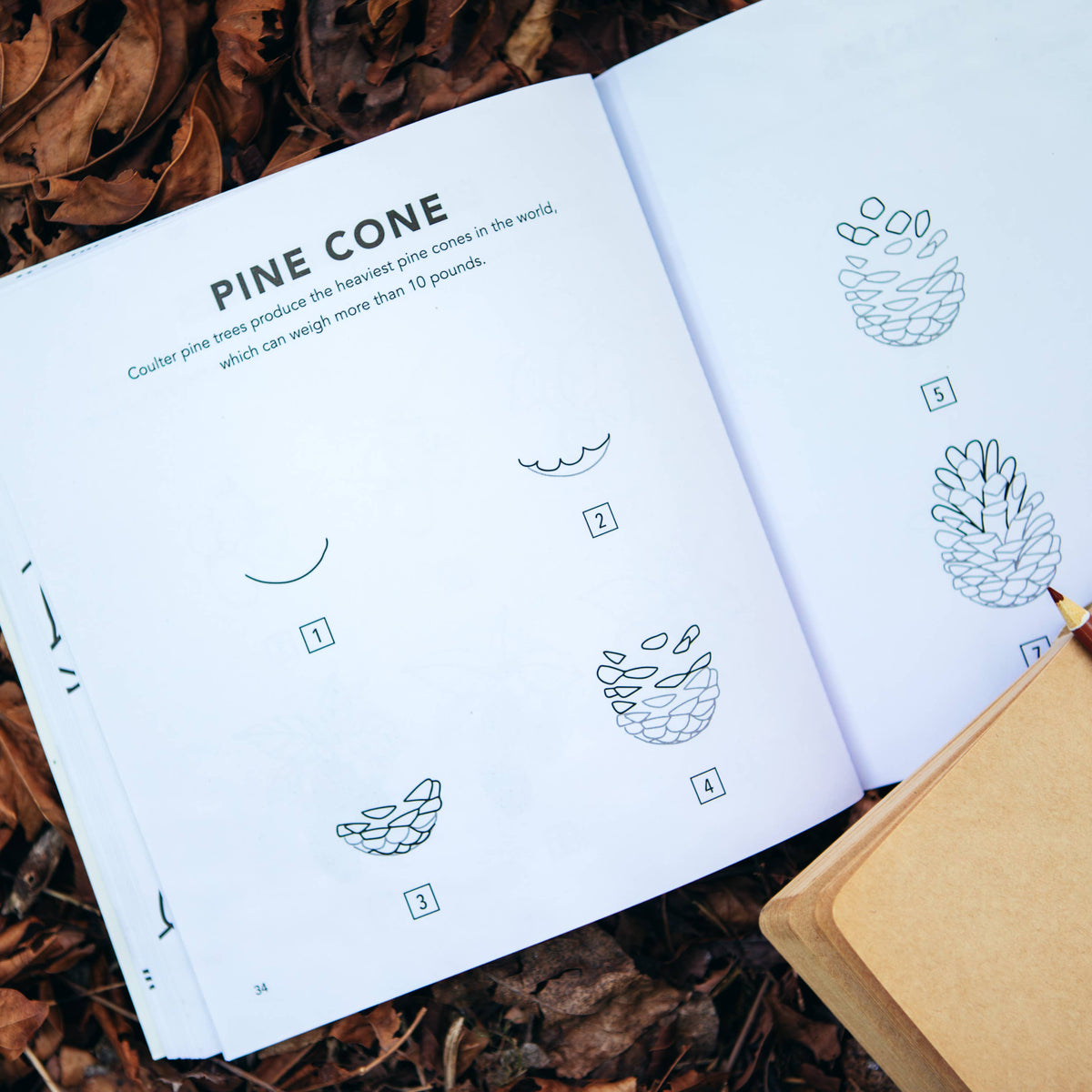 Fall Things: How to Draw Books for Kids with Pumpkins, Scarecrows, Turkeys and More