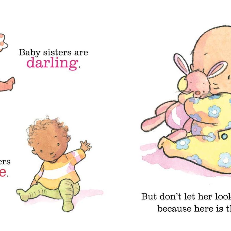 You&#39;re Getting a Baby Sister Board Book