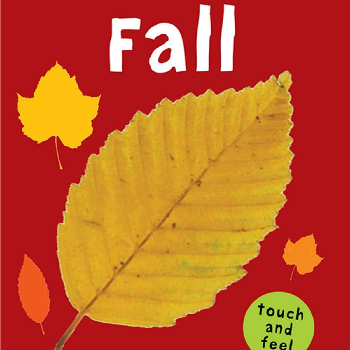 Touch And Feel Fall Book