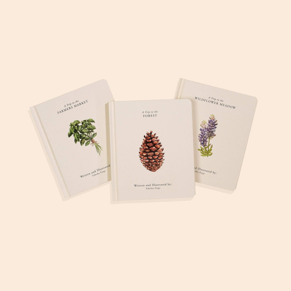 Our Little Adventures Board Book Set - Baby Dill