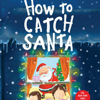 How to Catch Santa Board Book
