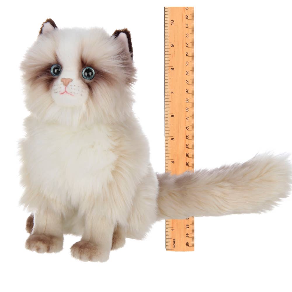 Tasha the Himalayan Plush