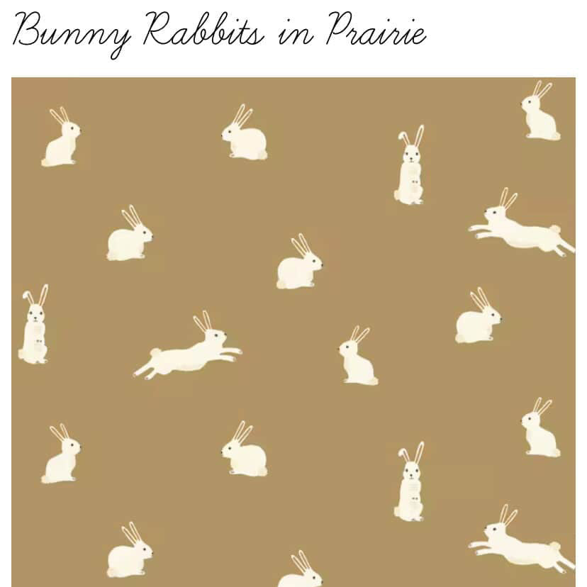 Organic Cotton Bandana Bib - Baby Dill