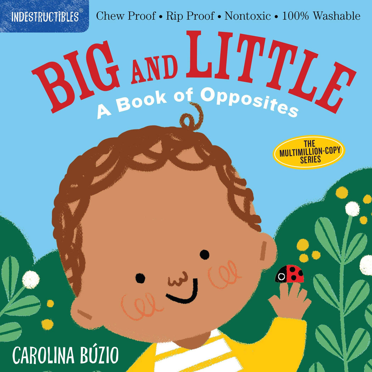 Indestructibles: Big and Little: A Book of Opposites - Baby Dill