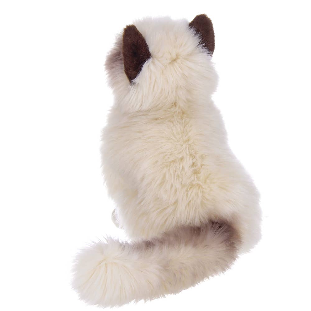 Tasha the Himalayan Plush