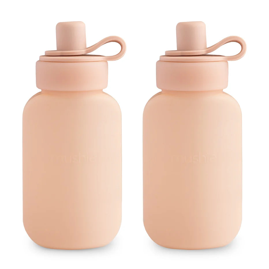 Silicone Puree Pouch 2 pk Refillable