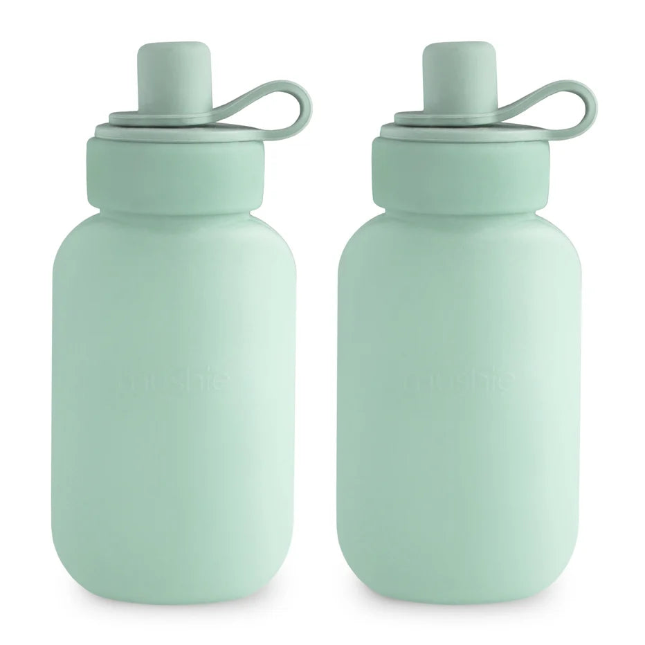 Silicone Puree Pouch 2 pk Refillable