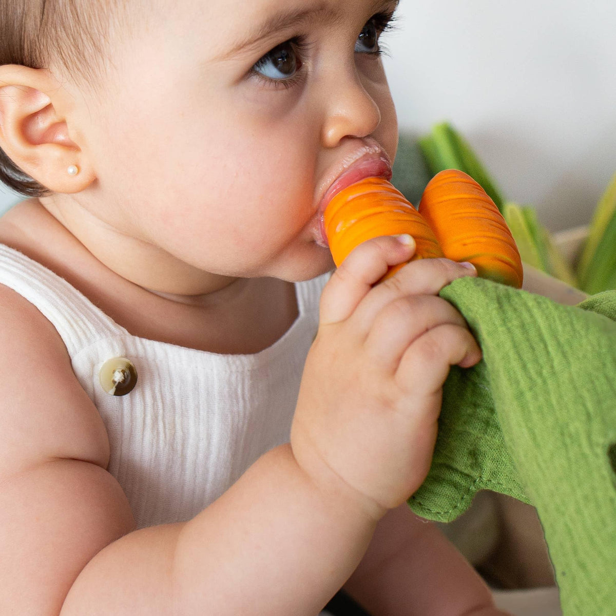Cathy the Carrot Mini DouDou Teether - Baby Dill