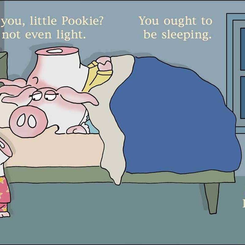 Happy Birthday, Little Pookie Board Book