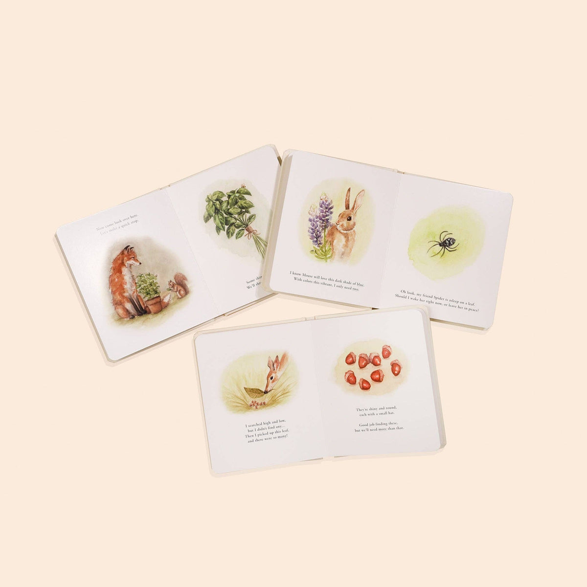 Our Little Adventures Board Book Set - Baby Dill