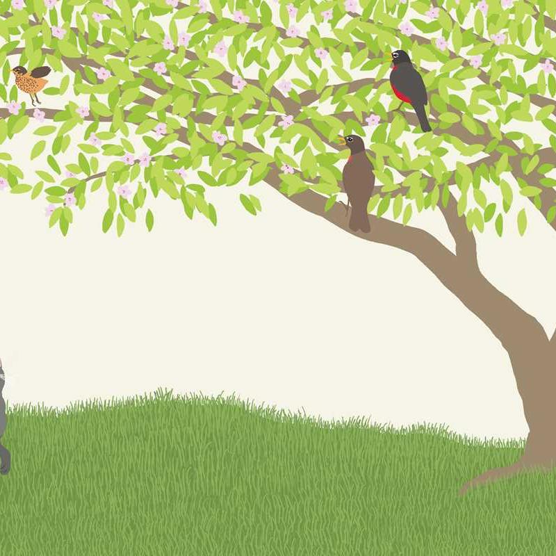 Nest Board Book