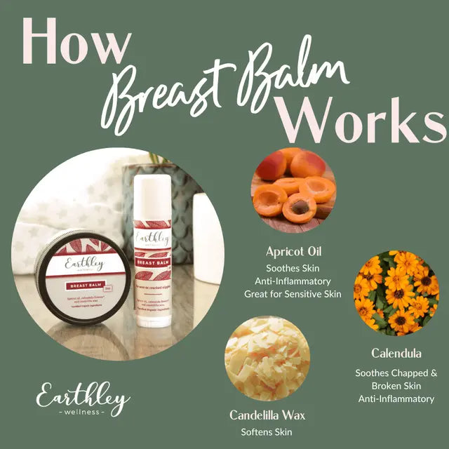 Breast Balm Herbal Salve 2oz