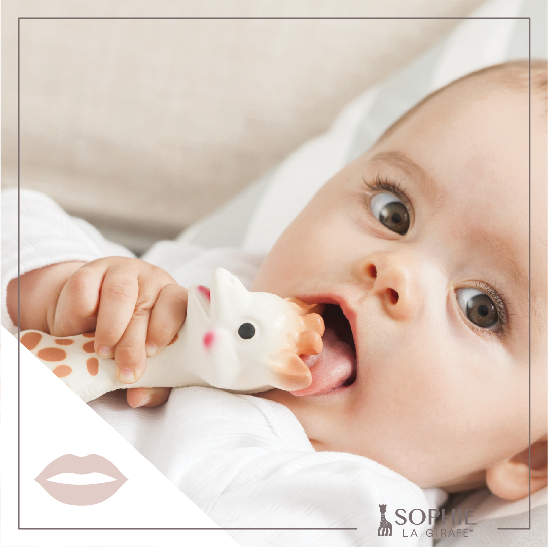 Sophie La Girafe/Giraffe Teether