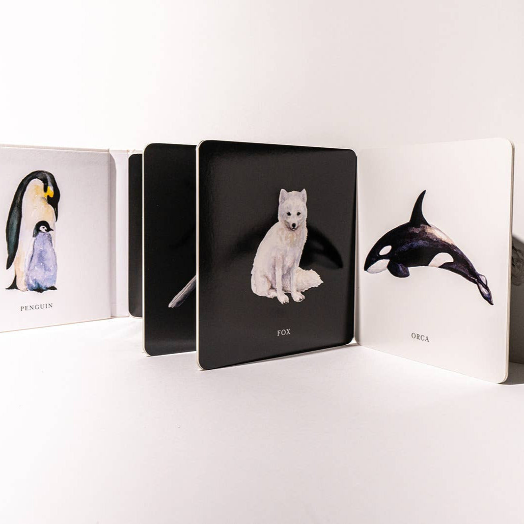 Black &amp; White Contrast Book for Baby - Baby Dill