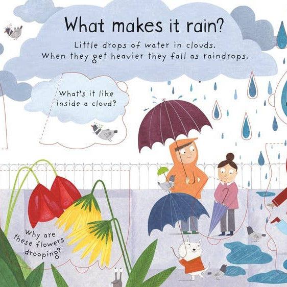 HarperCollins - First Questions and Answers: What makes it rain? - Baby Dill
